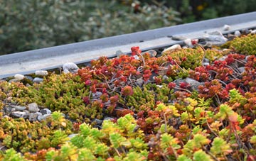 the cost of Llanrumney green roof installation