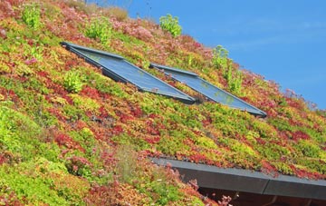 Llanrumney living roof systems